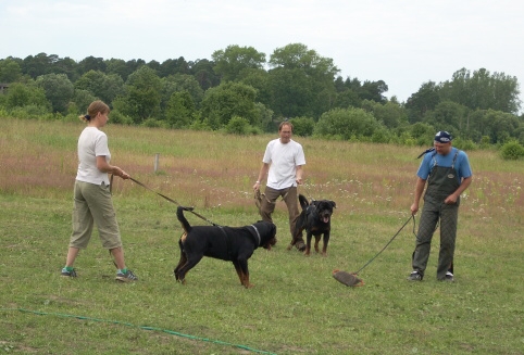 Training in Estonia 6/2007